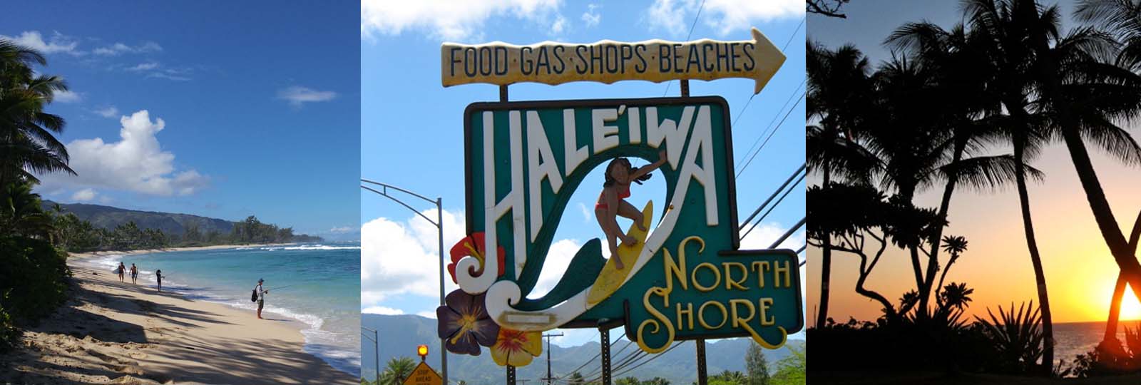 Hawaii Adult Surf Camps Endless Summer Surf Camp