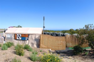 Endless Summer Surf Camp San Onofre Bluffs State Park